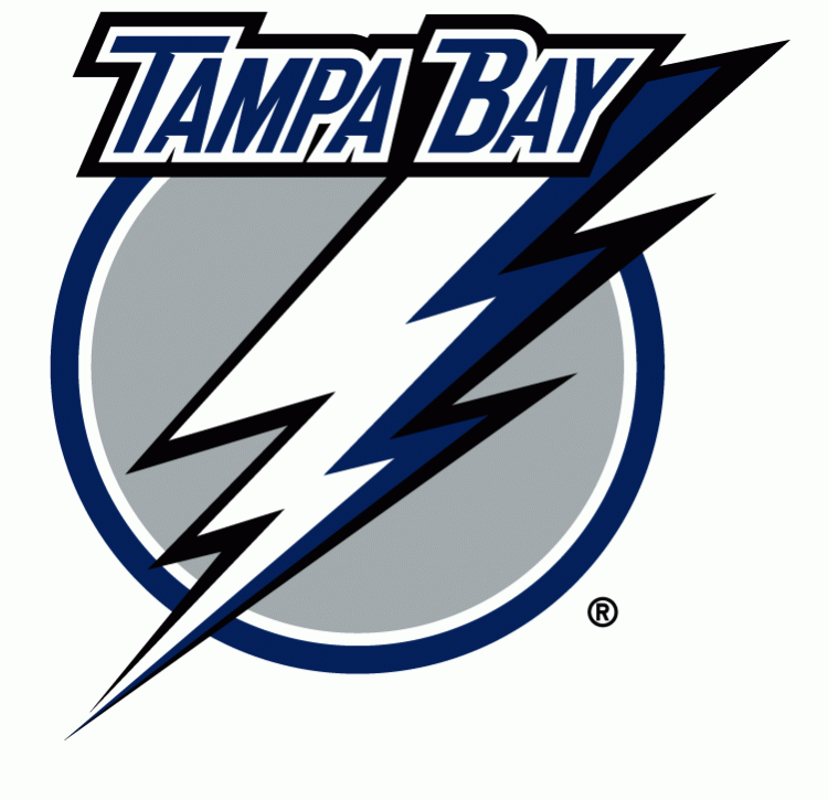 Tampa Bay Lightning 2007-2011 Primary Logo fabric transfer